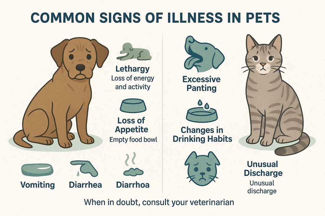 The Ultimate Guide to Recognizing Signs of Illness in Your Pet (2025 Edition)
