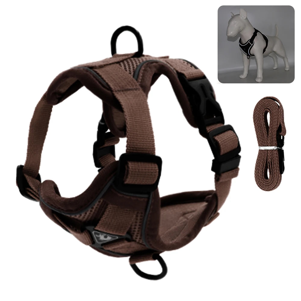 Reflective Cat & Dog Harness with Leash Set
