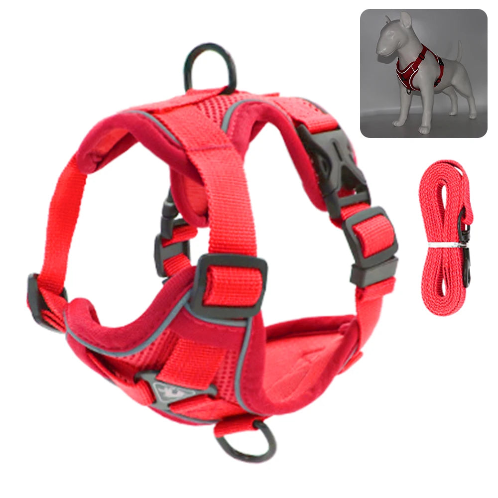 Reflective Cat & Dog Harness with Leash Set