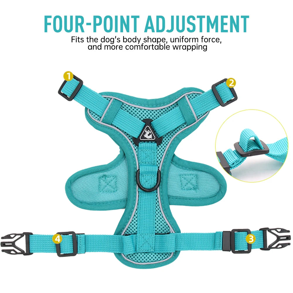 Reflective Cat & Dog Harness with Leash Set