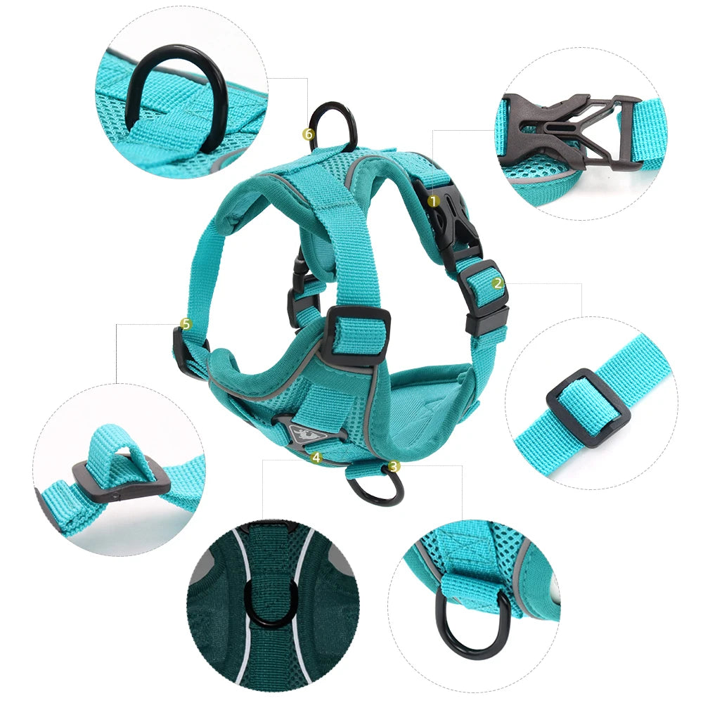 Reflective Cat & Dog Harness with Leash Set