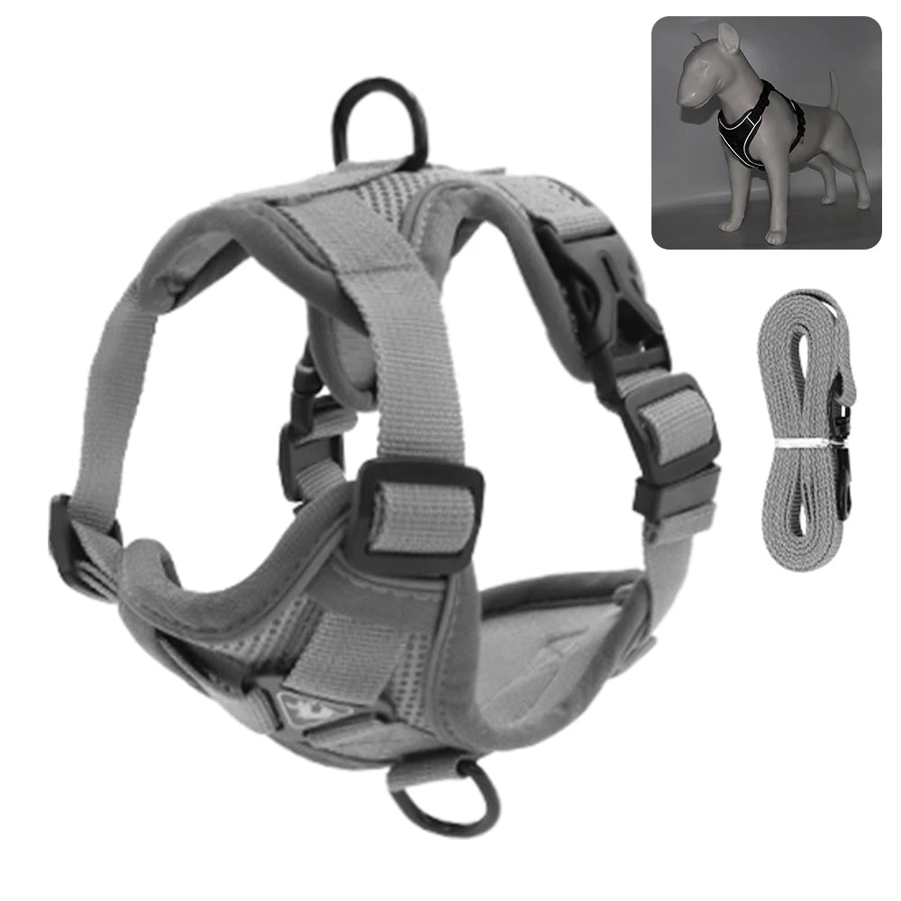 Reflective Cat & Dog Harness with Leash Set