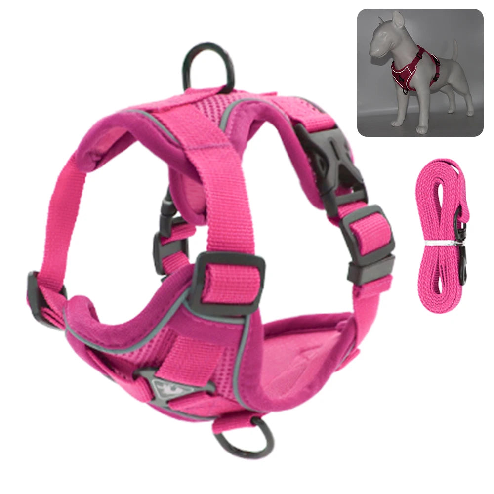 Reflective Cat & Dog Harness with Leash Set