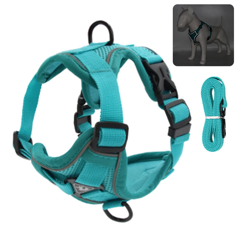Reflective Cat & Dog Harness with Leash Set