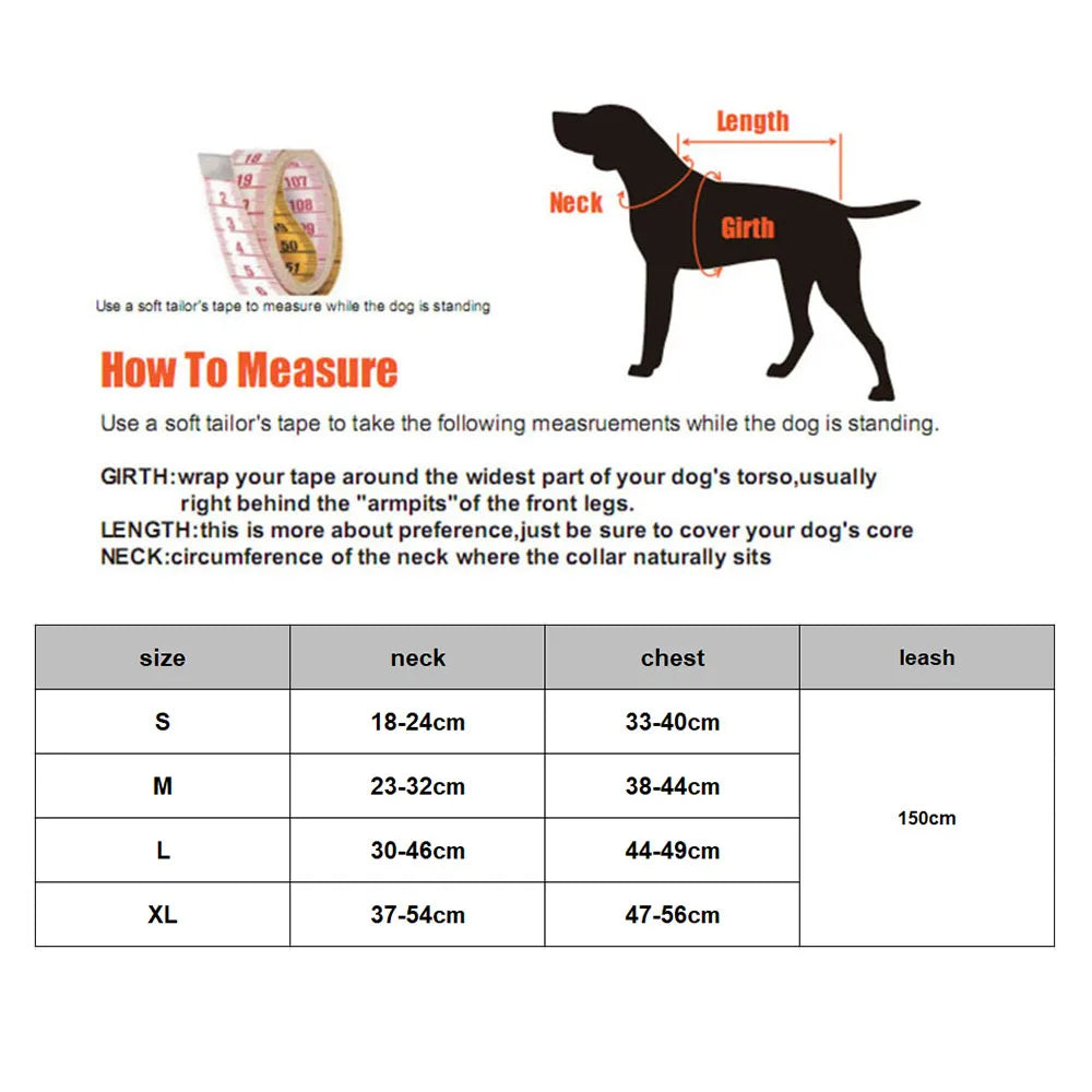 Reflective Cat & Dog Harness with Leash Set