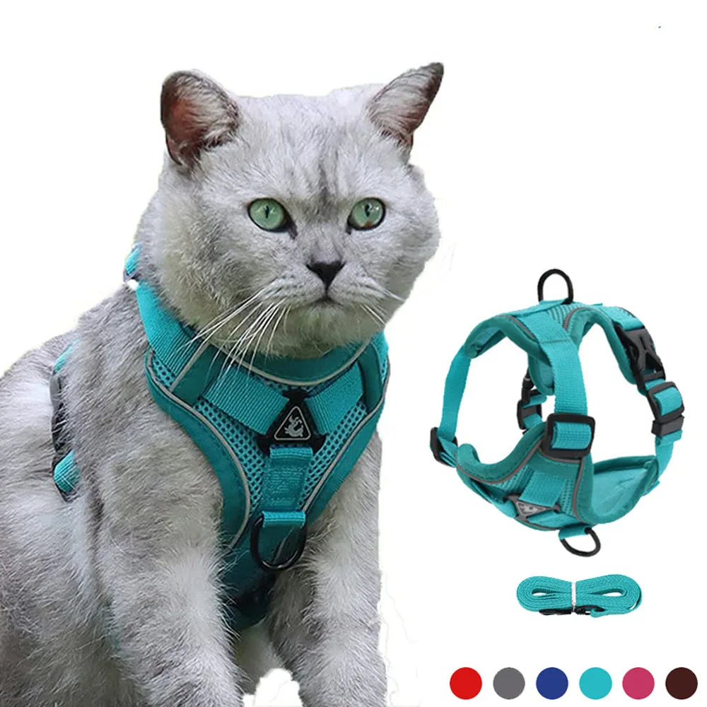 Reflective Cat & Dog Harness with Leash Set