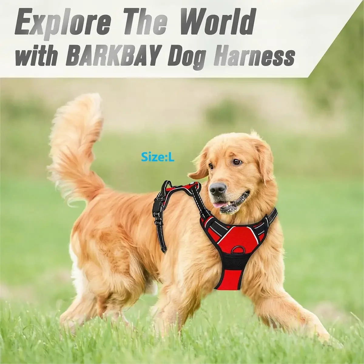 No-Pull Adjustable Dog Harness with Handle