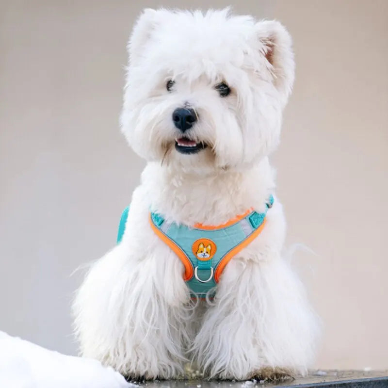 Reflective Dog Harness and Leash Set for Small & Medium Dogs