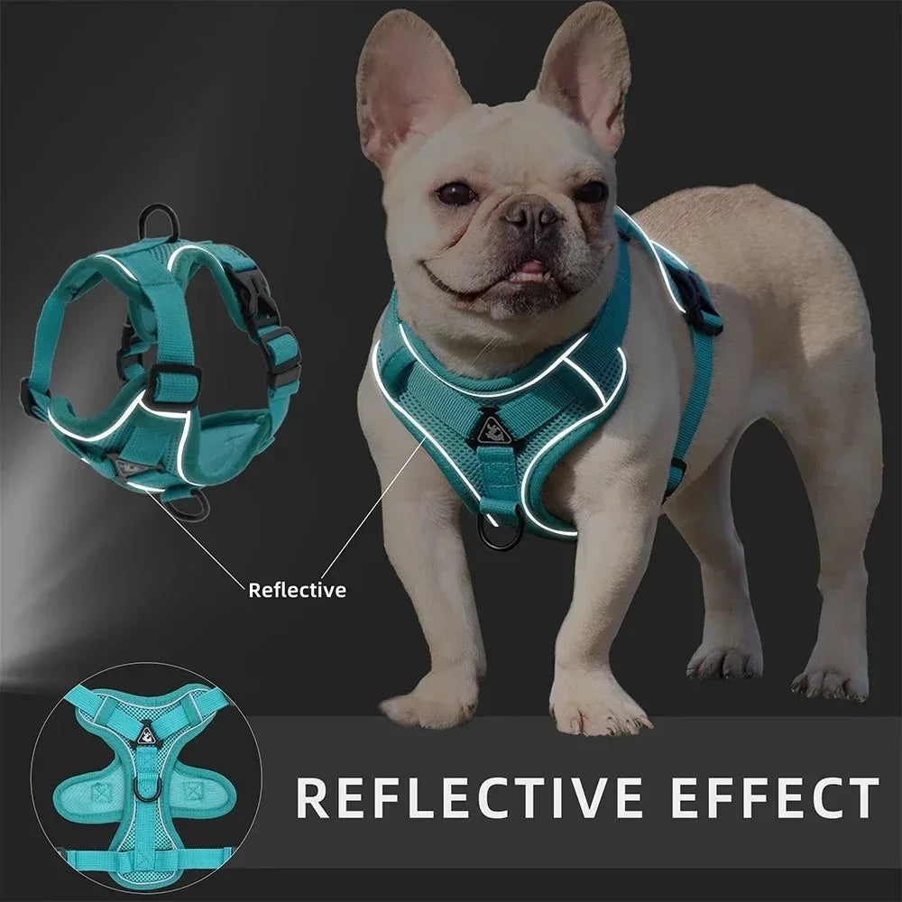 No Pull Reflective Dog Harness & Leash Set (S-XL)