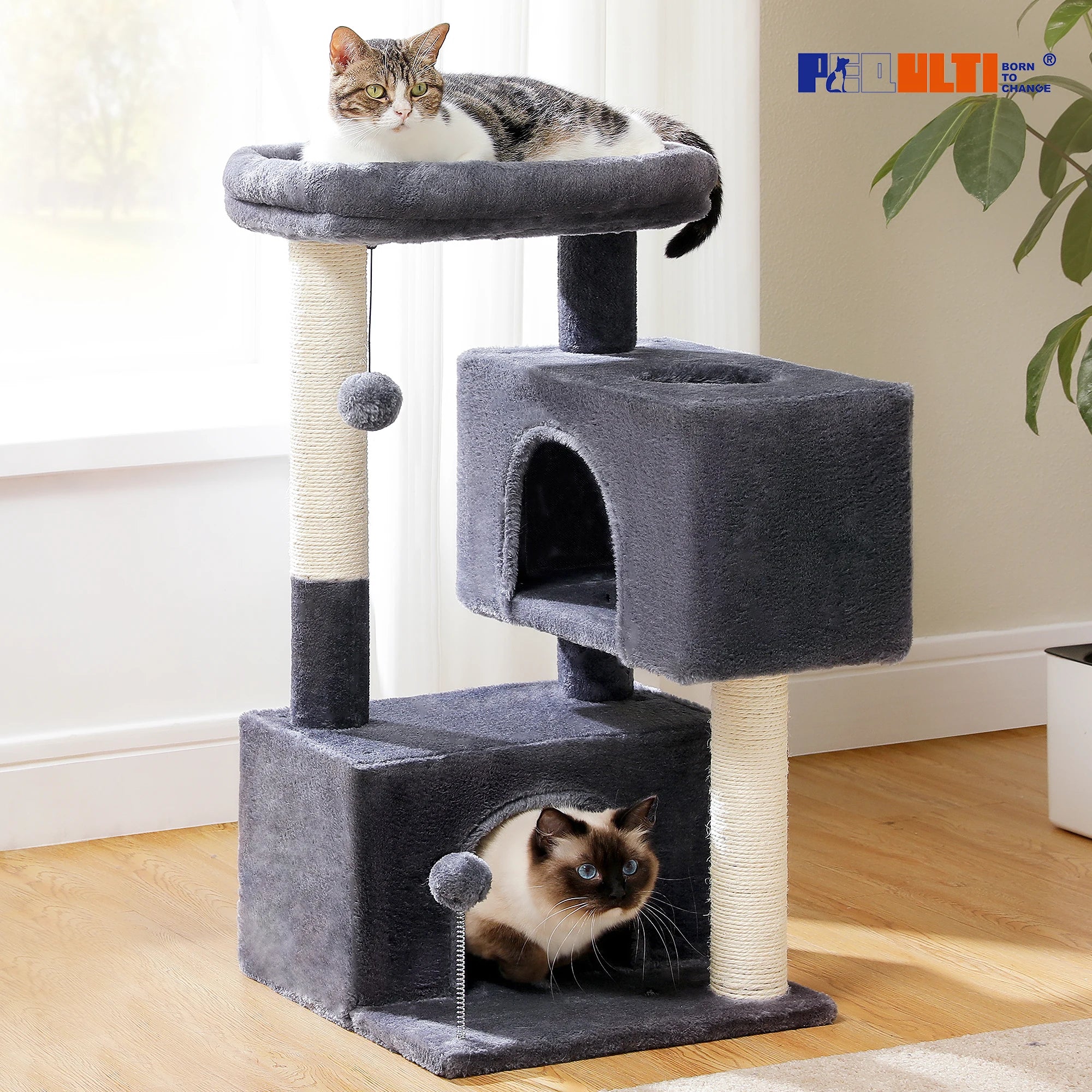 Multi-Level Cat Tree Tower with Condo & Scratching Posts