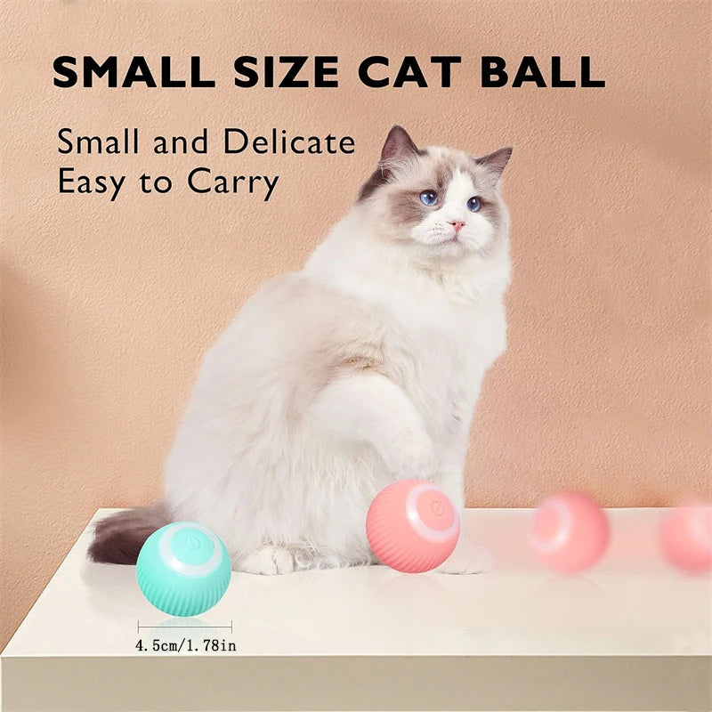 Automatic Interactive Pet Ball for Dogs and Cats