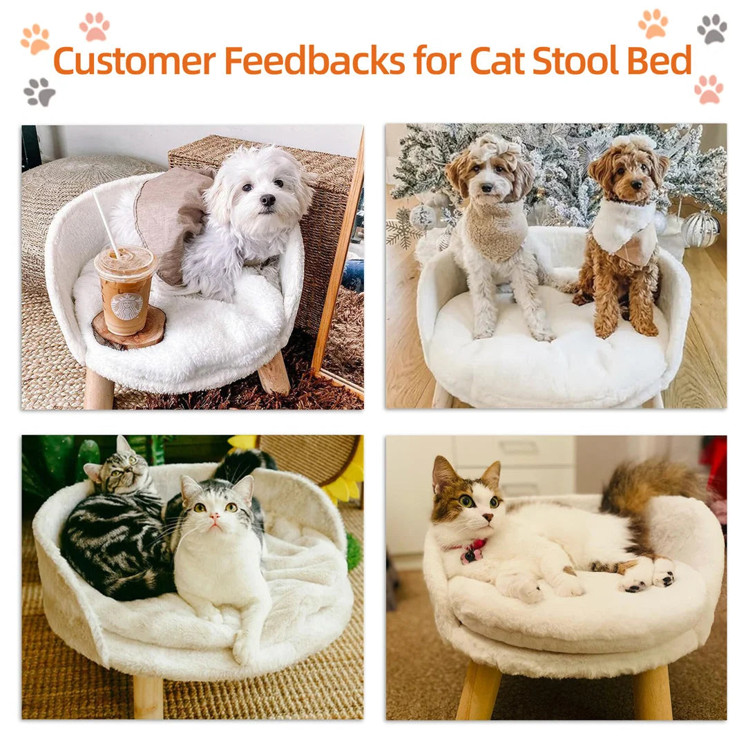 Elevated Pet Bed with Legs – Cozy Cat & Small Dog Sofa