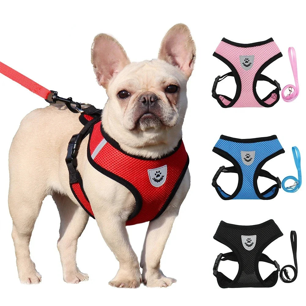No-Pull Soft Mesh Dog & Cat Harness with Leash