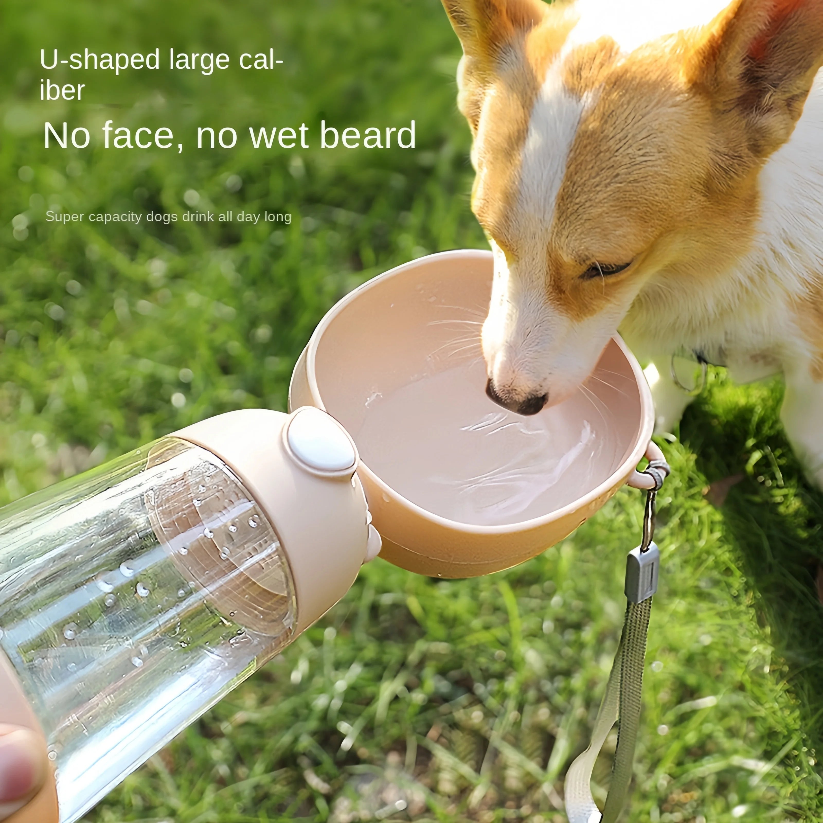 Portable Dog Water Bottle with Food Container