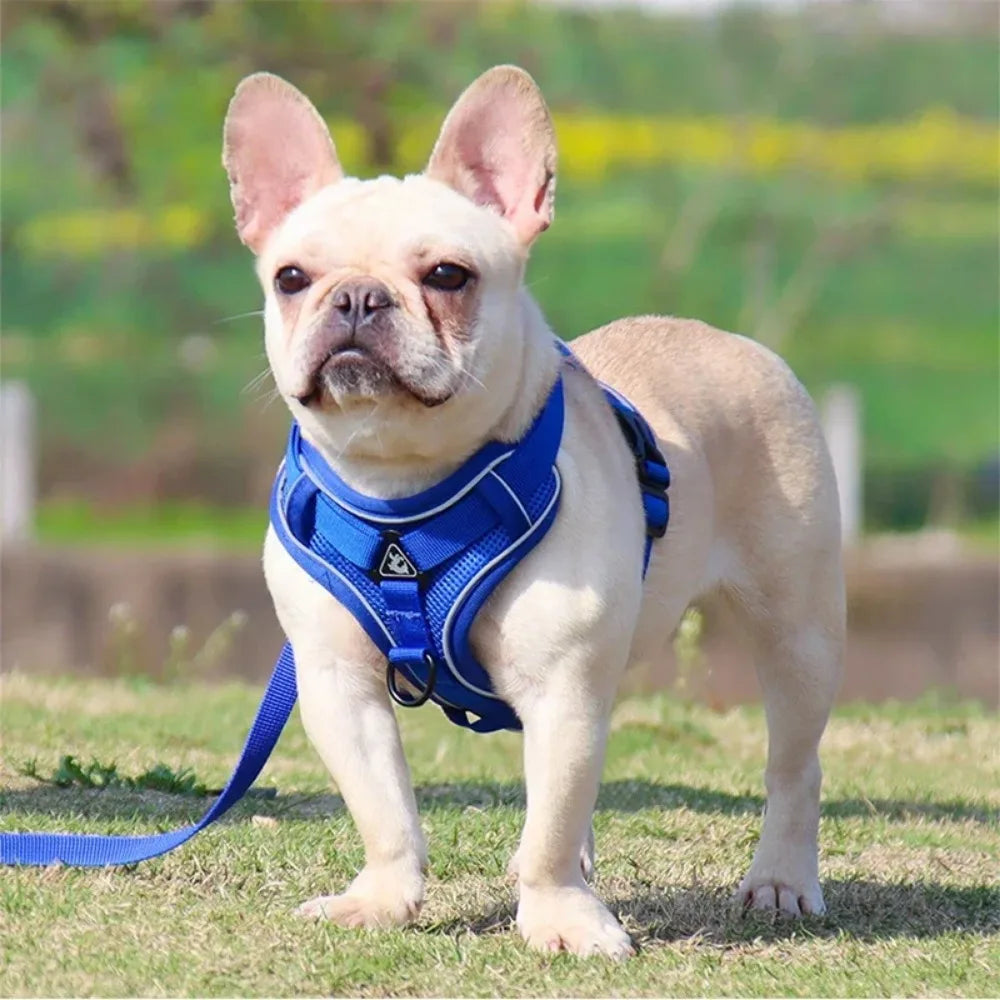 No Pull Reflective Dog Harness & Leash Set (S-XL)