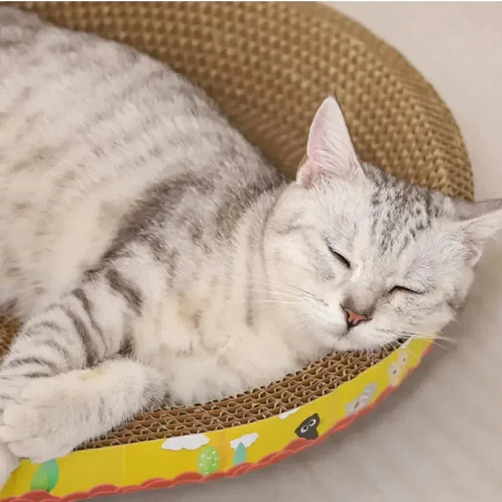 Round Cat Scratcher Bed Bowl with Corrugated Cardboard
