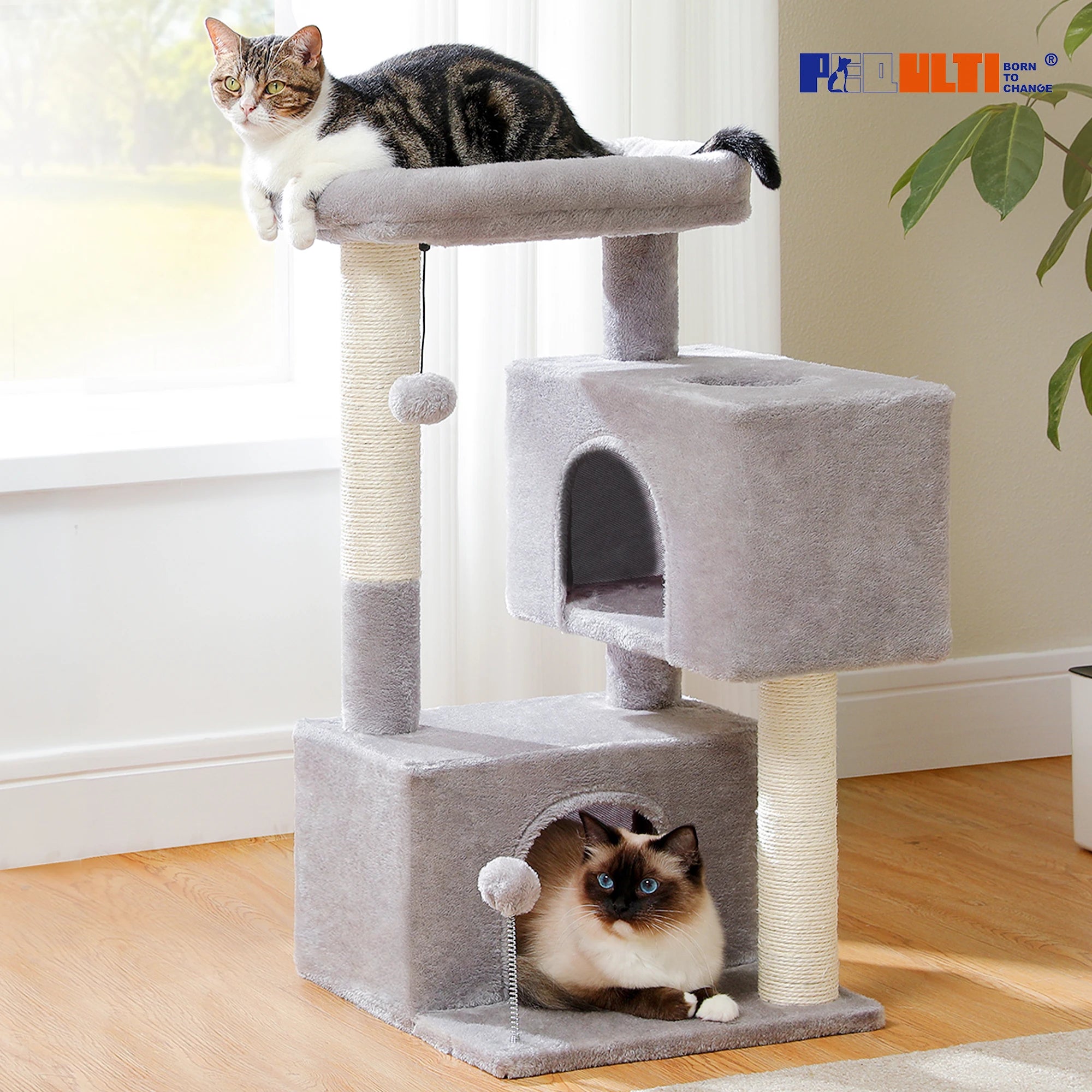 Multi-Level Cat Tree Tower with Condo & Scratching Posts