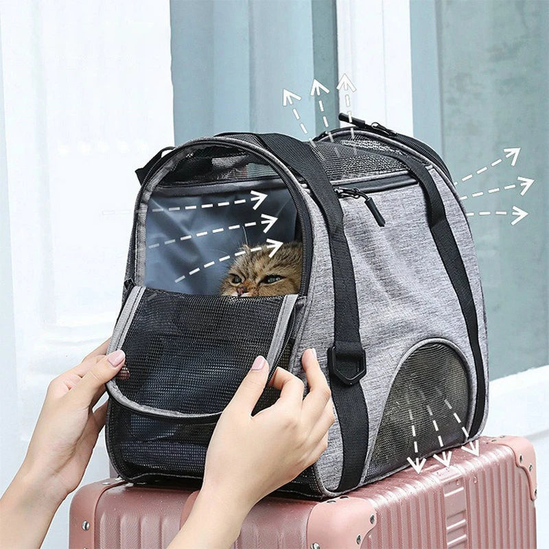 Airline Approved Pet Carrier Bag for Cats & Dogs