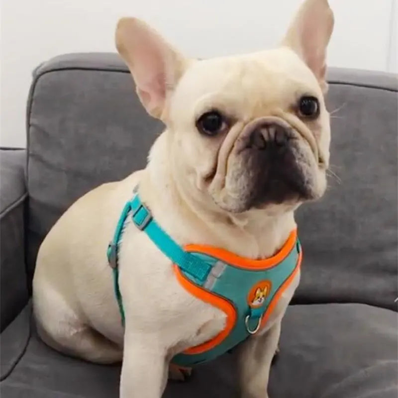 Reflective Dog Harness and Leash Set for Small & Medium Dogs