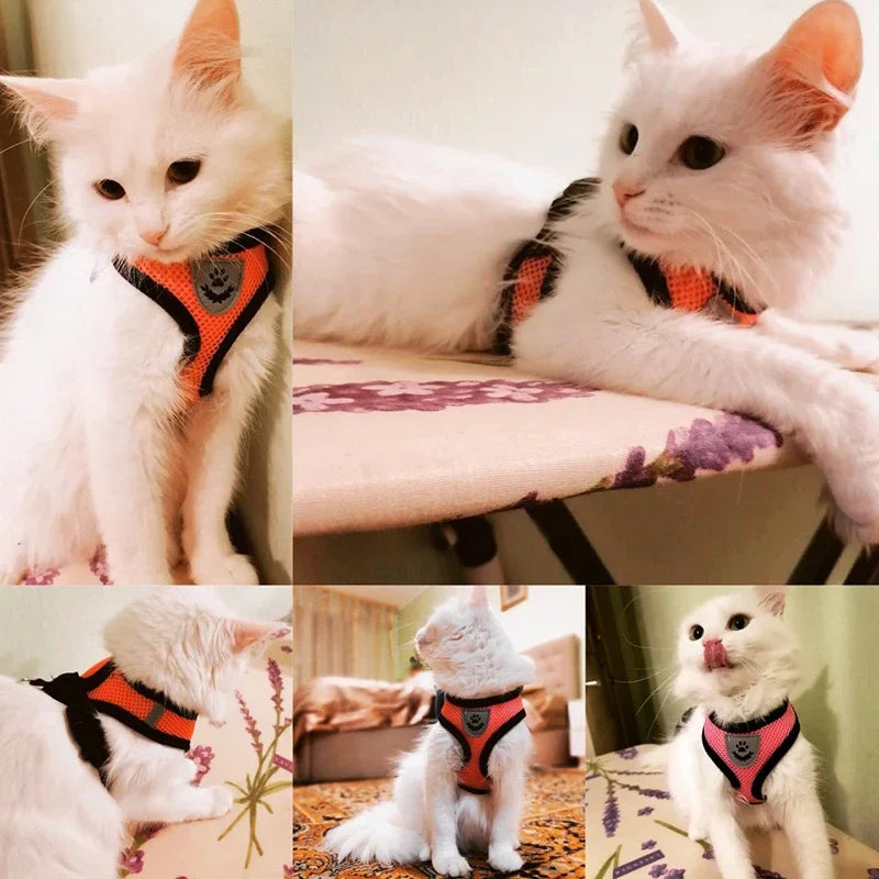 No-Pull Soft Mesh Dog & Cat Harness with Leash