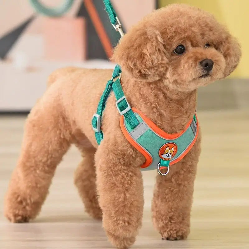Reflective Dog Harness and Leash Set for Small & Medium Dogs