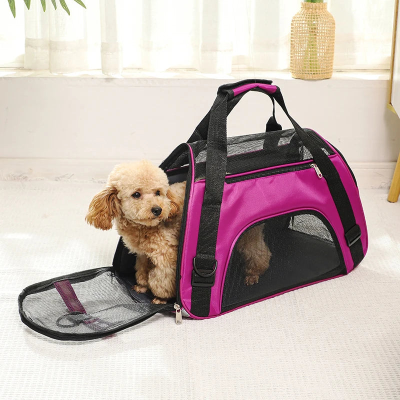 Airline Approved Pet Carrier Bag for Cats & Dogs