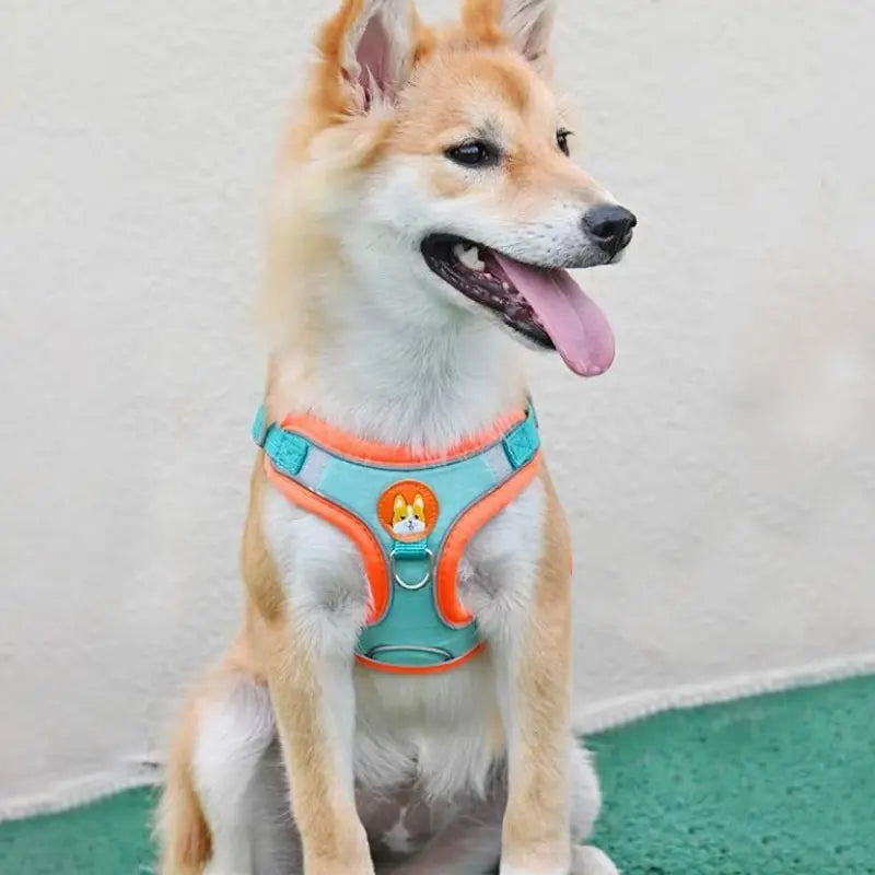 Reflective Dog Harness and Leash Set for Small & Medium Dogs