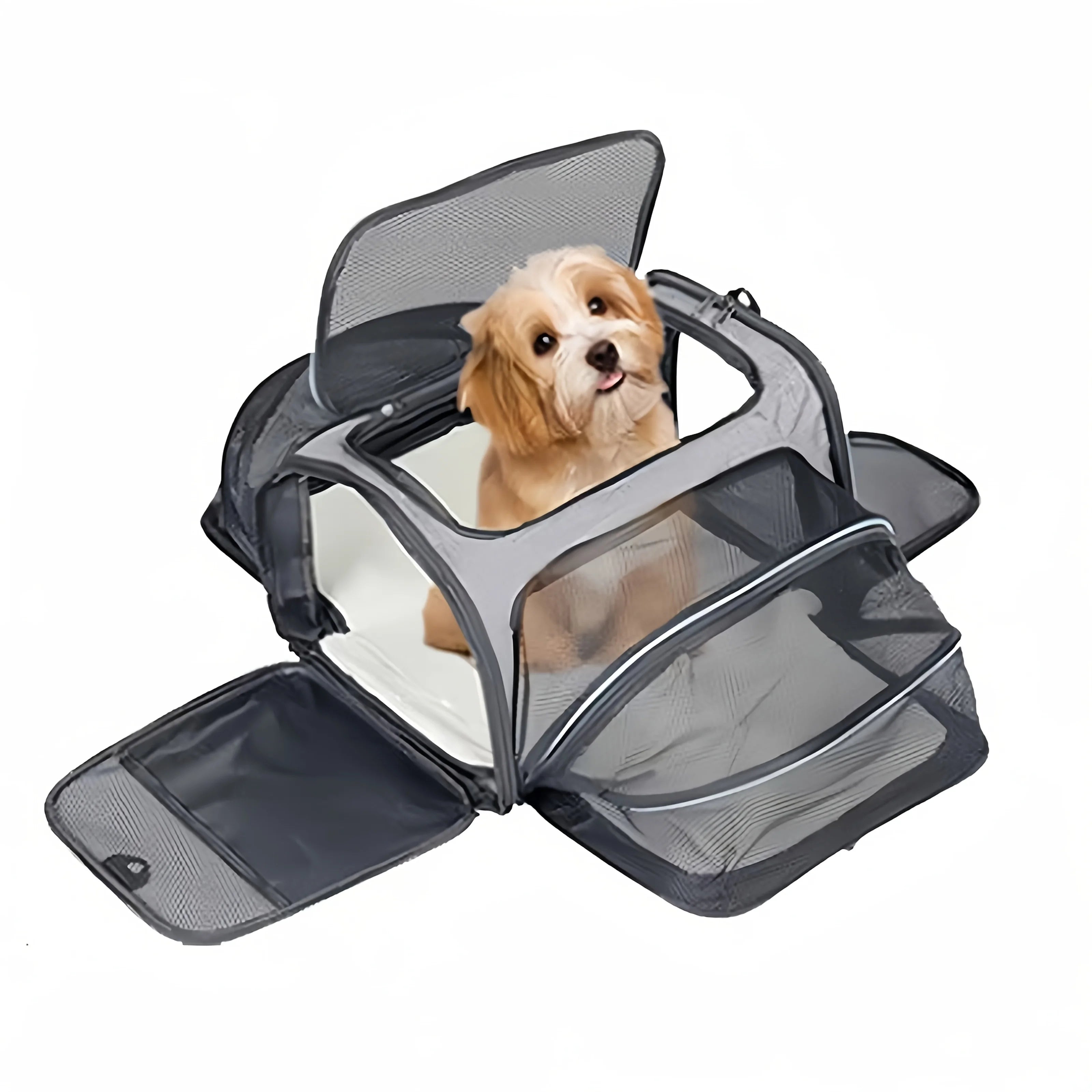 Expandable Airline Approved Pet Carrier for Cats & Dogs