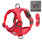Reflective Cat & Dog Harness with Leash Set