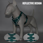 Reflective Cat & Dog Harness with Leash Set