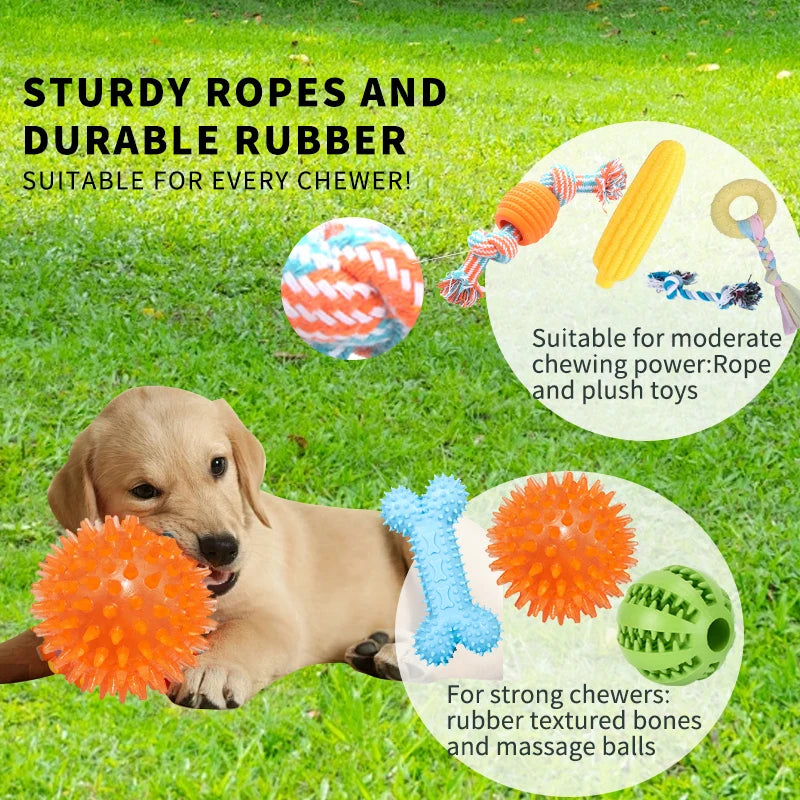 18-Pack Dog Toy Set – Chew, Rope & Interactive Toys