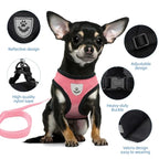 No-Pull Soft Mesh Dog & Cat Harness with Leash