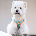 Reflective Dog Harness and Leash Set for Small & Medium Dogs