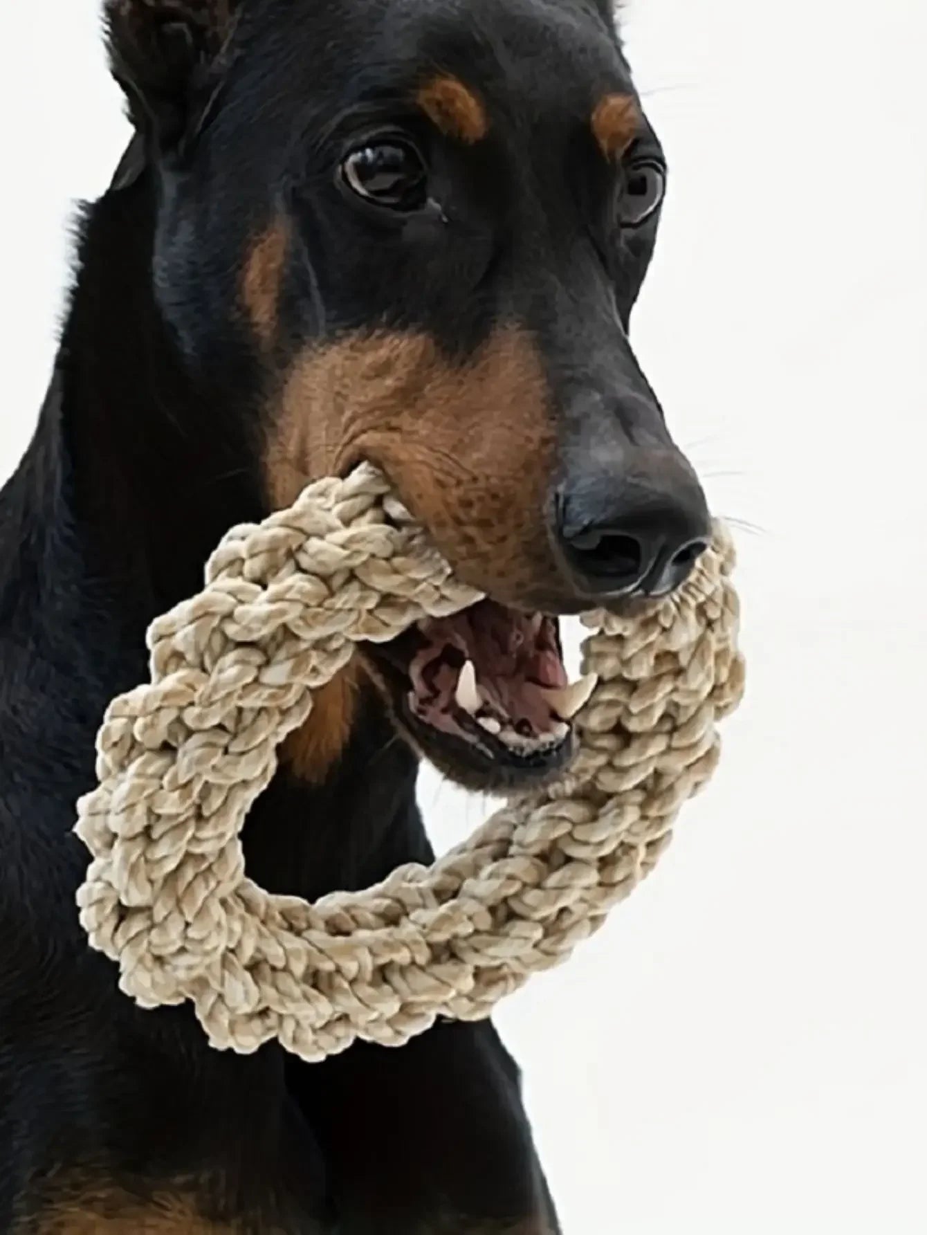 Durable Rope Chew Ring Toy for Dogs
