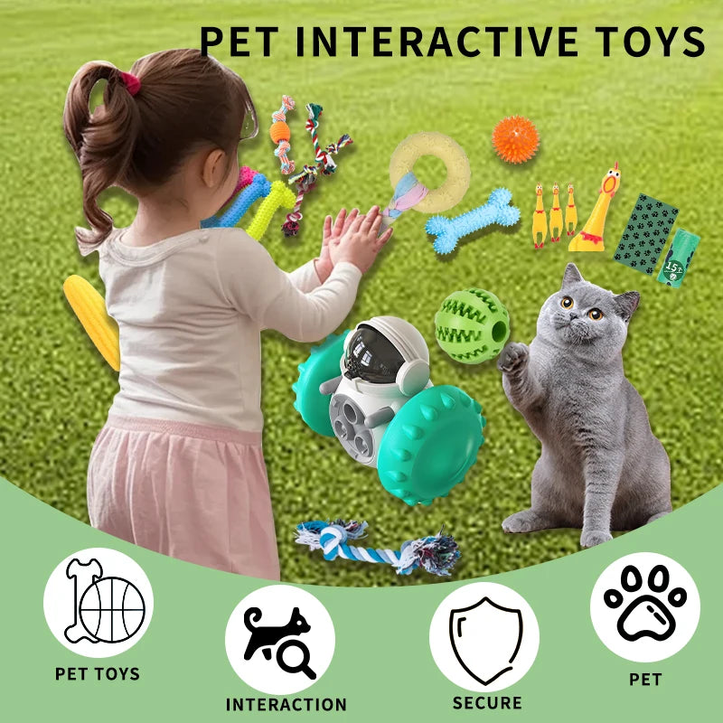18-Pack Dog Toy Set – Chew, Rope & Interactive Toys