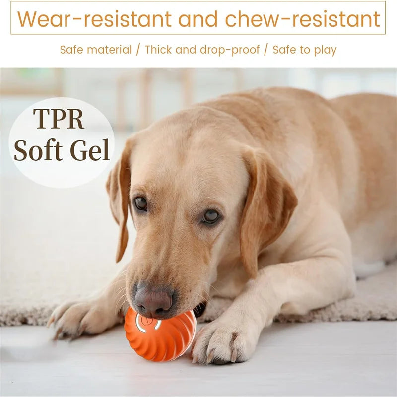 Automatic Interactive Pet Ball for Dogs and Cats