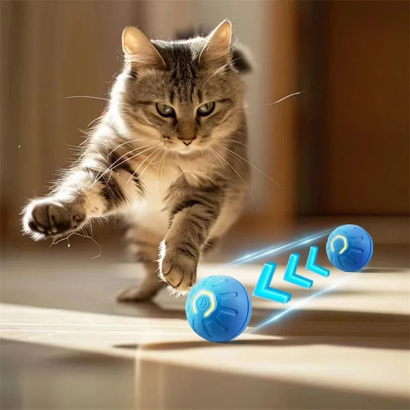 Automatic Interactive Pet Ball for Dogs and Cats