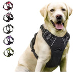 No-Pull Adjustable Dog Harness with Handle