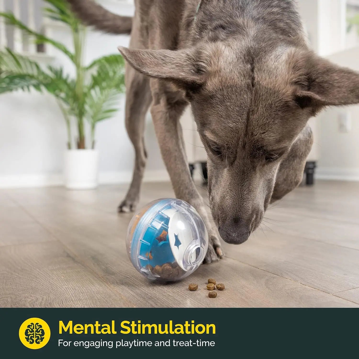 Interactive Dog Treat Dispensing Puzzle Ball