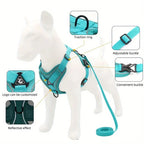 No Pull Reflective Dog Harness & Leash Set (S-XL)