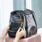 Airline Approved Pet Carrier Bag for Cats & Dogs