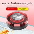 Automatic Fish Feeder with Timer for Aquariums