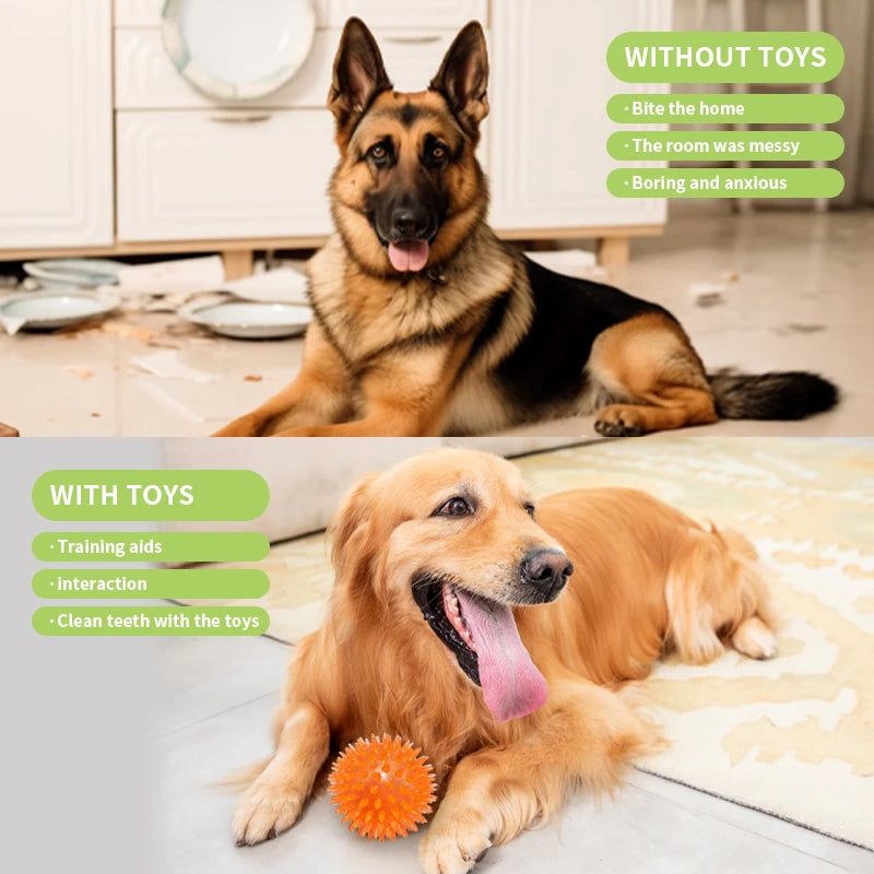 18-Pack Dog Toy Set – Chew, Rope & Interactive Toys