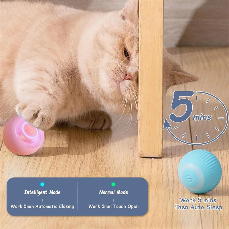 Automatic Interactive Pet Ball for Dogs and Cats