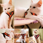 No-Pull Soft Mesh Dog & Cat Harness with Leash