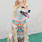 Reflective Dog Harness and Leash Set for Small & Medium Dogs