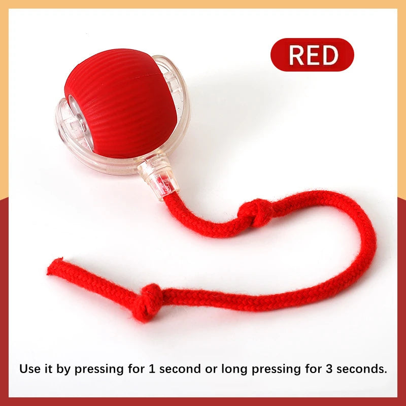 Automatic Interactive Pet Ball for Dogs and Cats